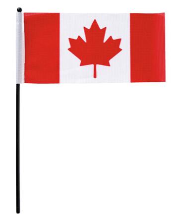 Canadian Flag, 5