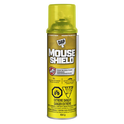 Spray Foam, DAP Touch'n Foam, Mouse Shield Blocker & Sealant, 16 oz, Spray Can