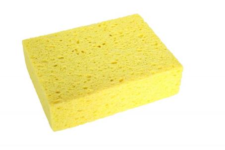 Sponge, 6