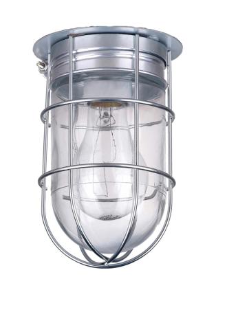 Light Fixture, Outdoor, Wall/Ceiling, Clear Glass w/Wire Guard, NATURAL METALLIC, Canarm